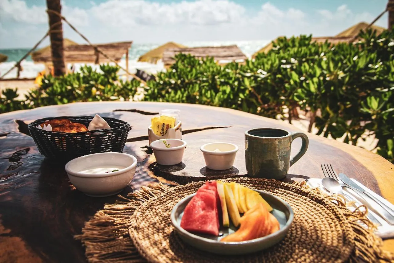Orchid House Tulum Beach (Adults Only) Hotel